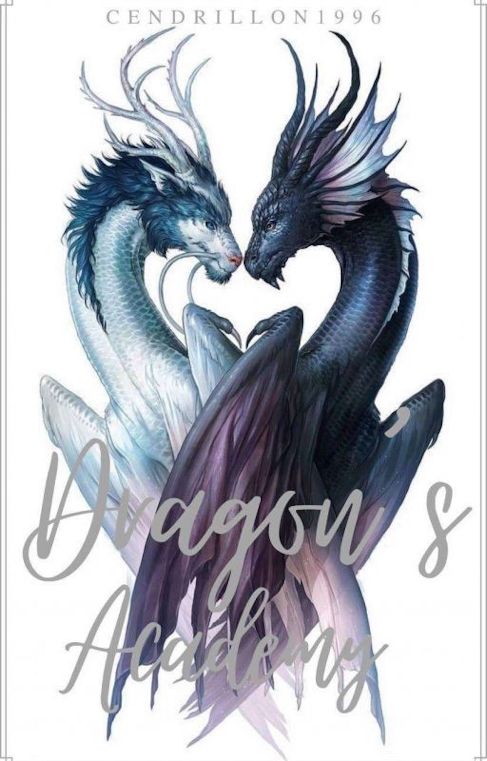 Dragon Academy (Kindle Edition)
