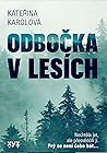 Odbočka v lesích by Kateřina Karolová