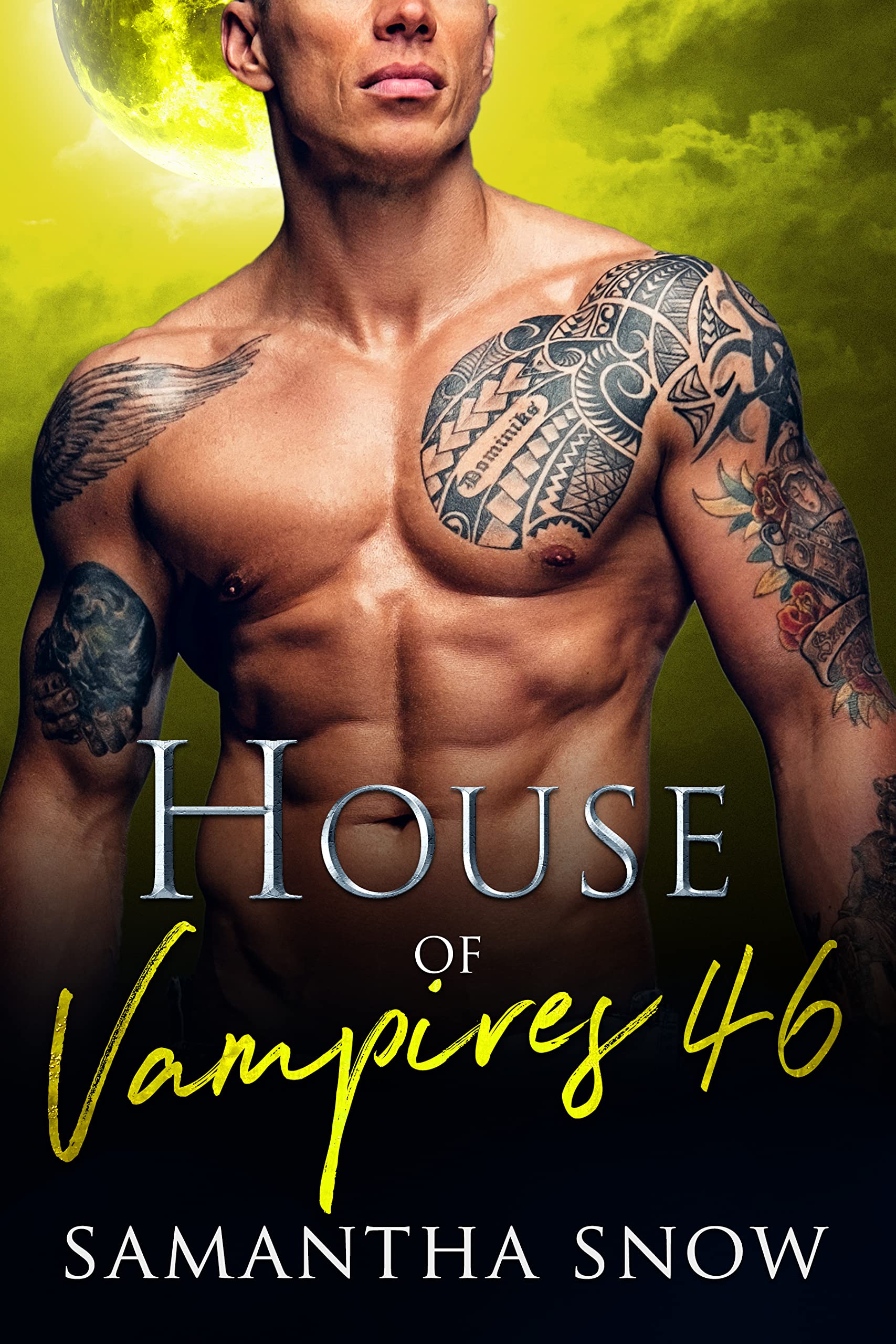 House Of Vampires 46: An Eternity In The Dark (The Sons Of Vlad Series)