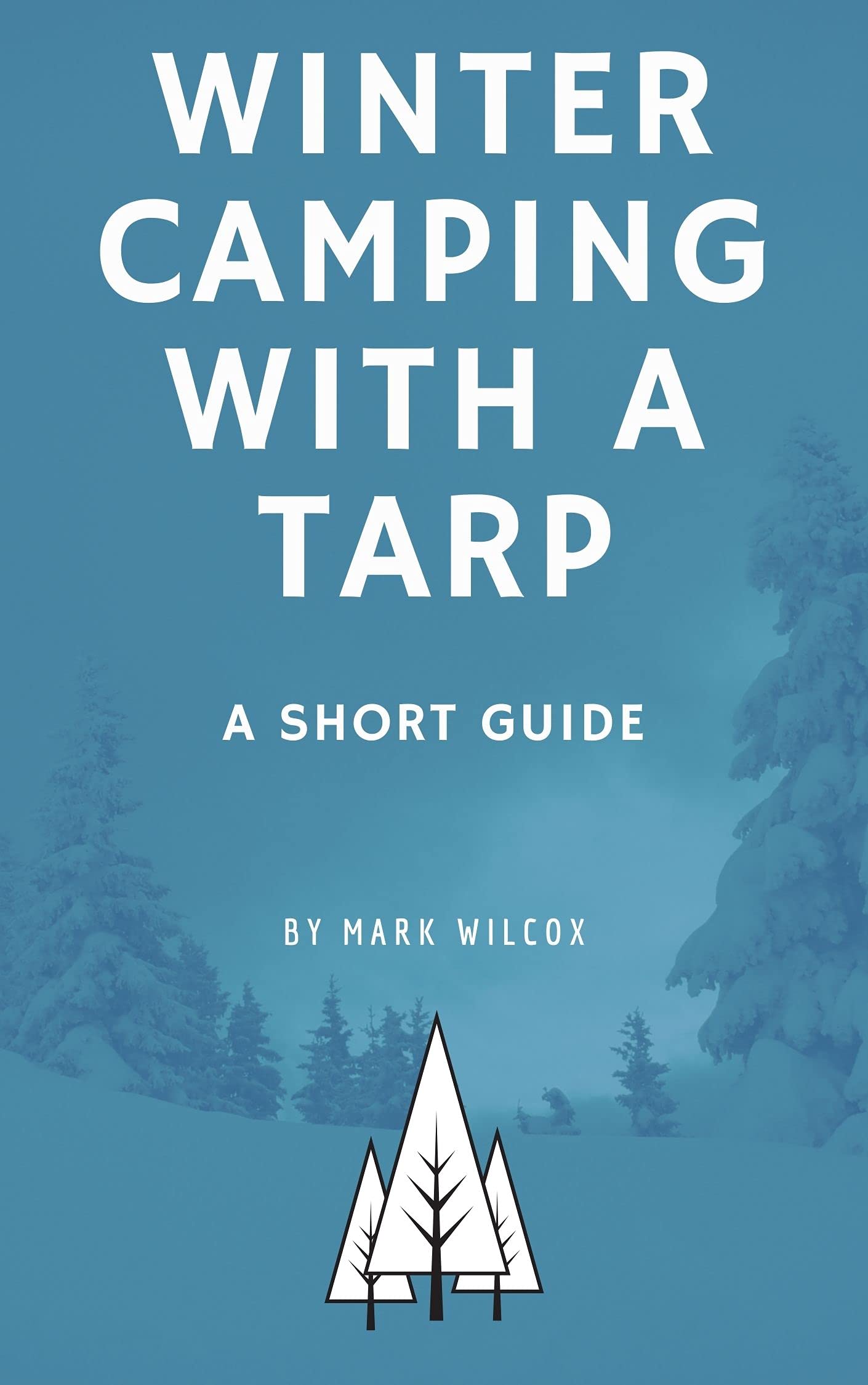 Winter Camping With A Tarp: A Short Guide (Camping Tips And Tricks)