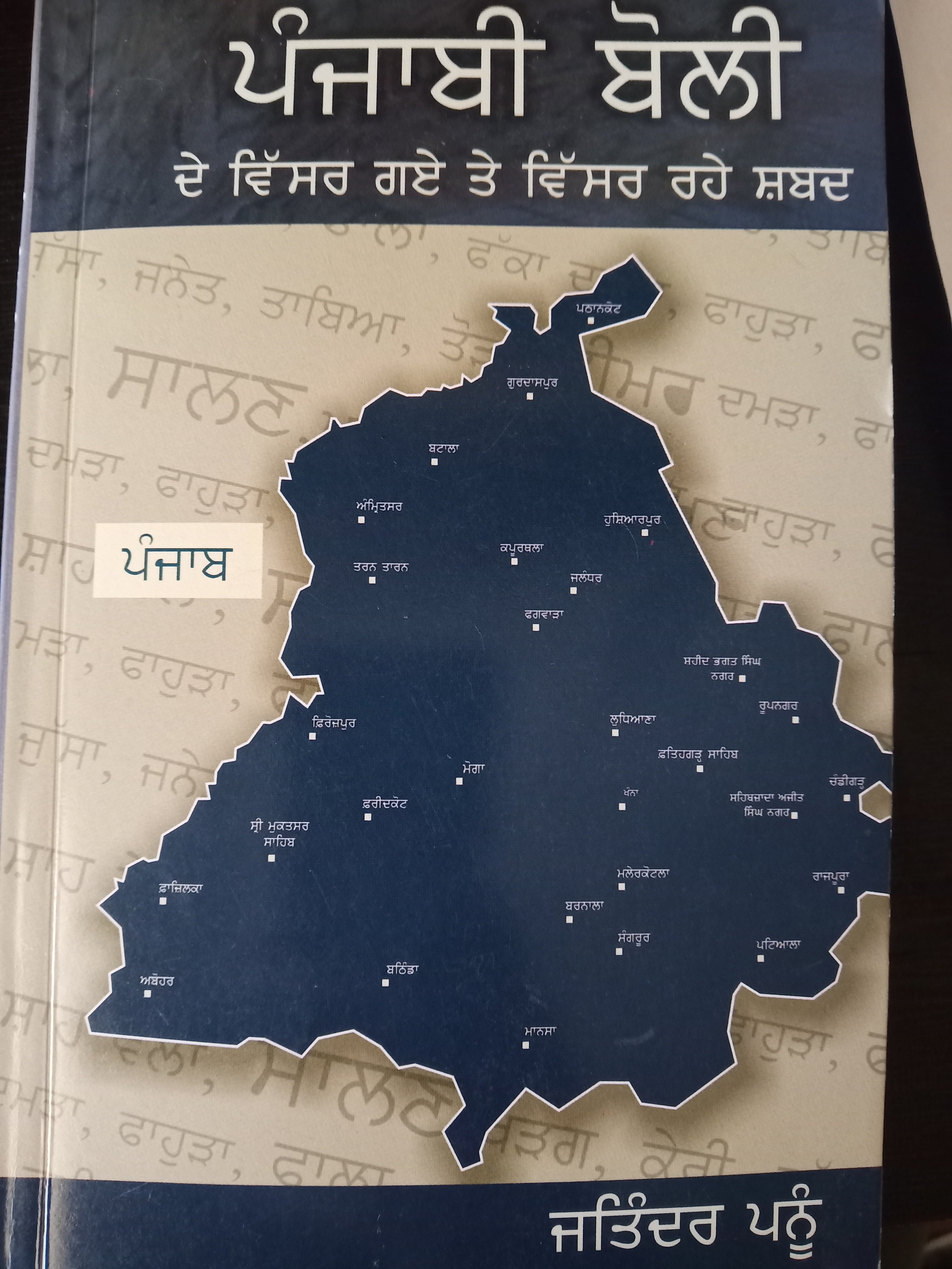 Punjabi boli de vissar gaye te vissar rahe shabad