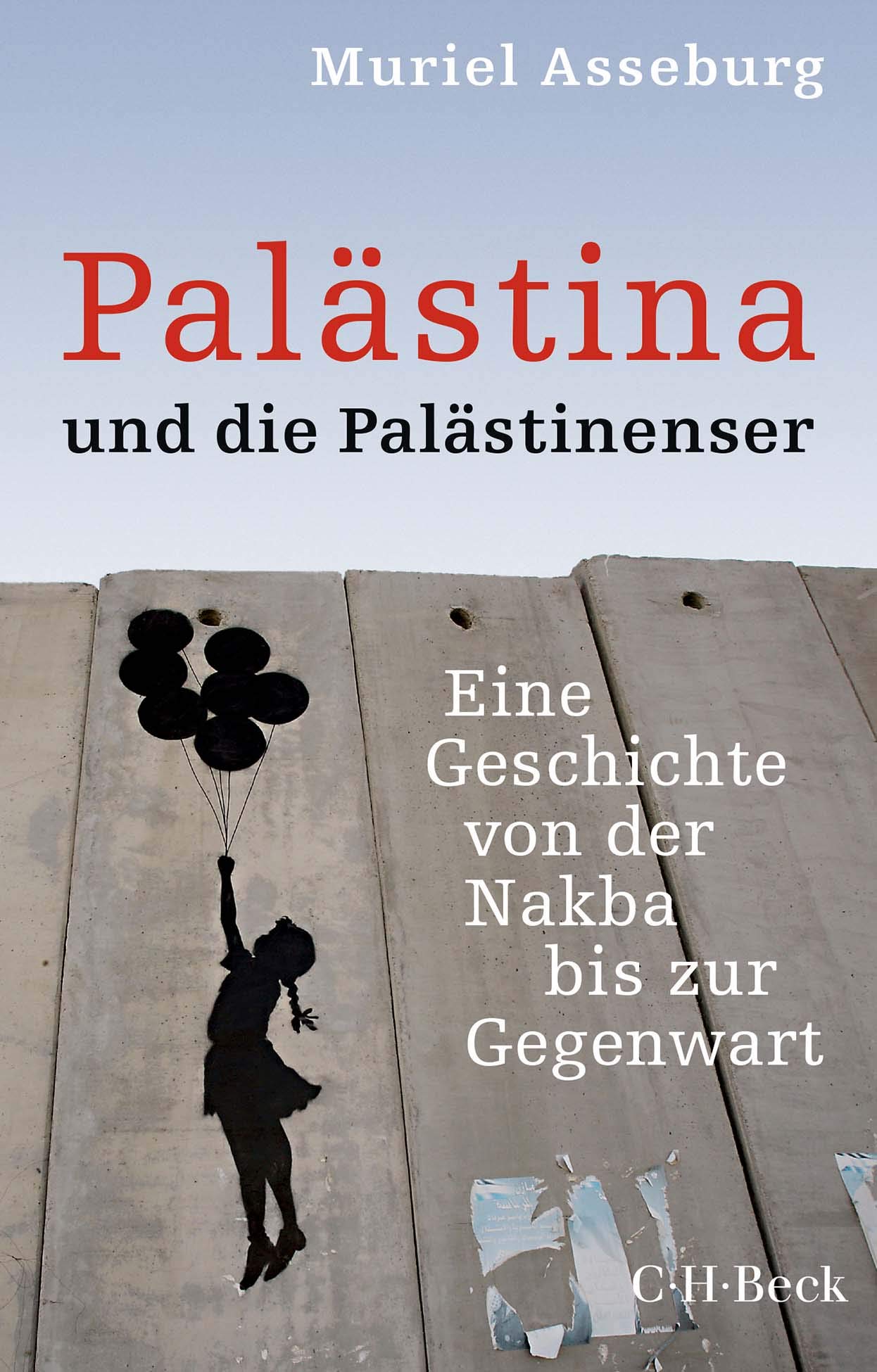 Palästina und die Palästinenser. Eine Geschichte von der Nakba bis zur Gegenwart (Paperback)