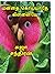 மனதை கொய்யாதே கிள்ளையே : Ma...