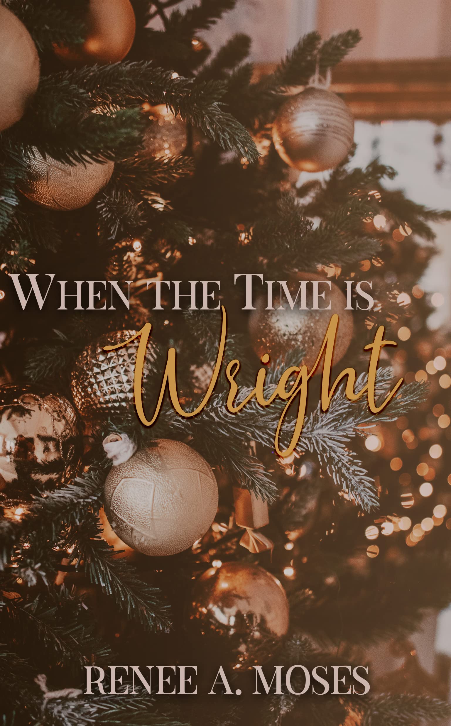 When The Time Is Wright: A Christmas Novella (Kindle Edition)