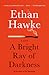A Bright Ray of Darkness by Ethan Hawke