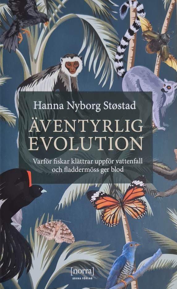 Äventyrlig evolution: Varför fiskar klättrar uppför vattenfall och fladdermöss ger blod (Paperback)