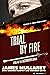 Trial By Fire: The Destroyer Book 155
