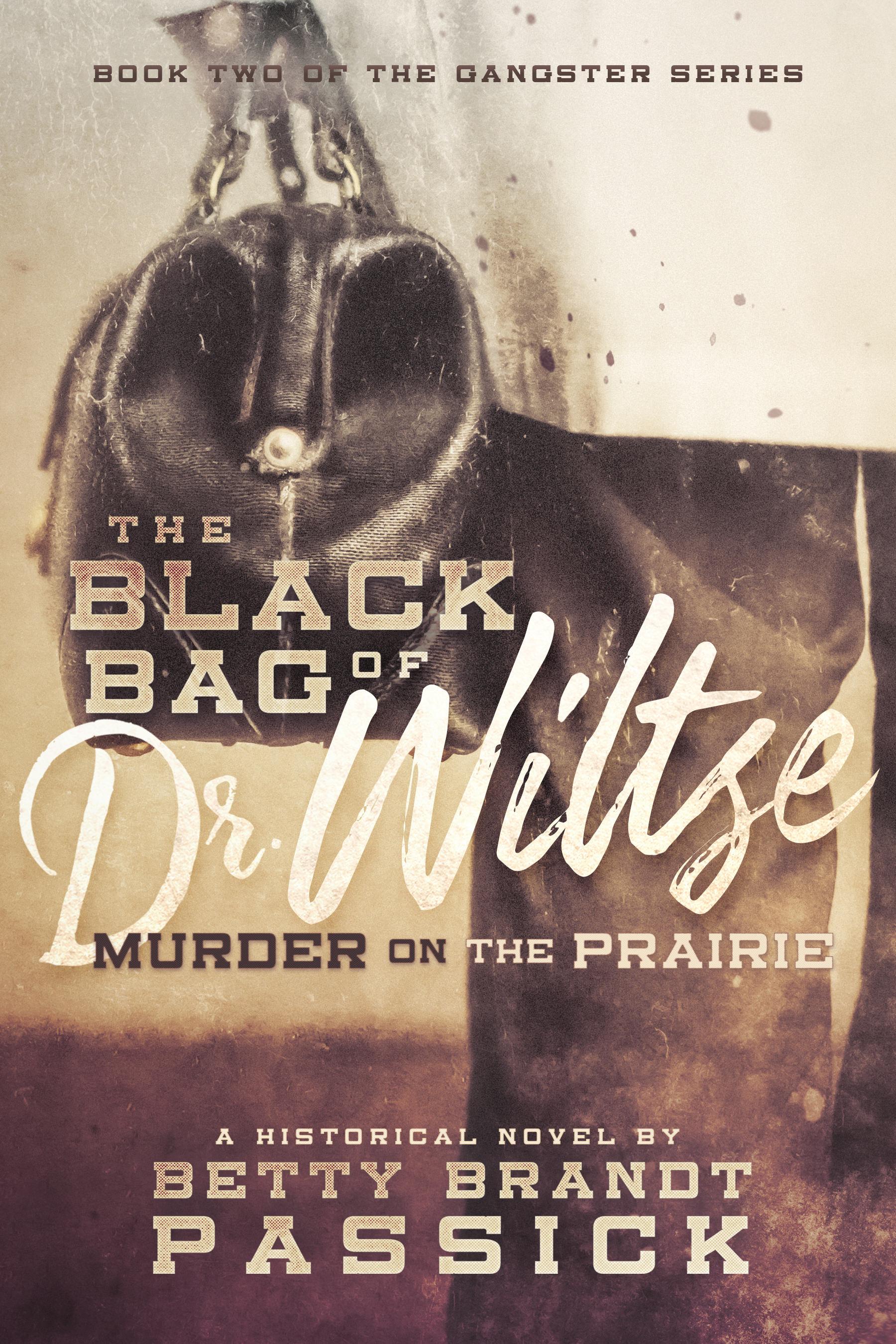 The Black Bag of Dr. Wiltse, Murder on the Prairie