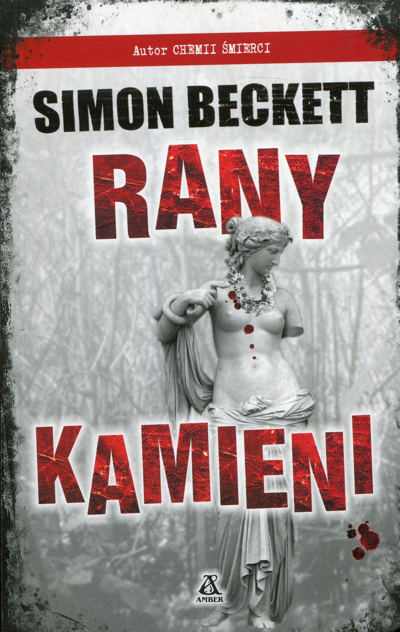 Rany kamieni (Paperback)