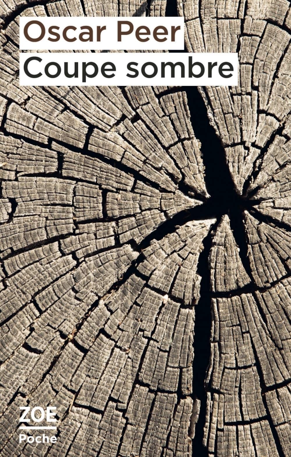 Coupe sombre (Pocket Book)