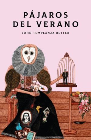 Pájaros del verano