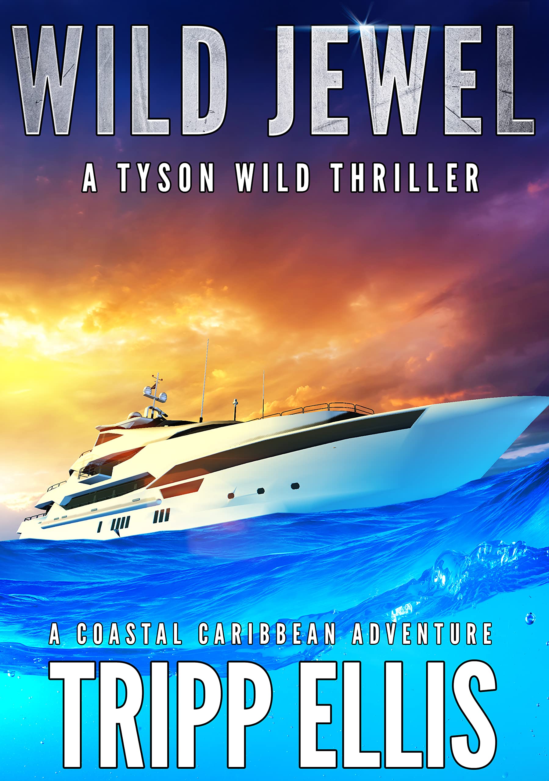 Wild Jewel (Tyson Wild Thriller, #37)