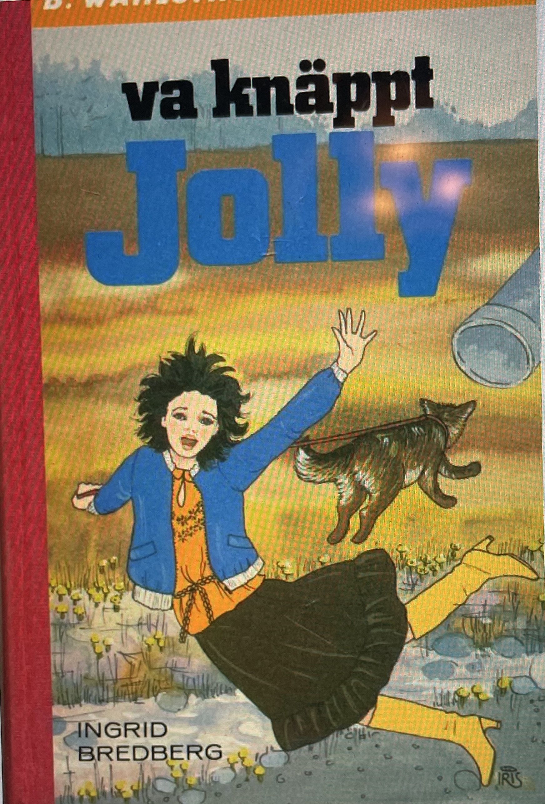 Va knäppt, Jolly (Jolly #13)