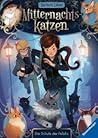 Die Schule der Felidix (Mitternachtskatzen, #1)