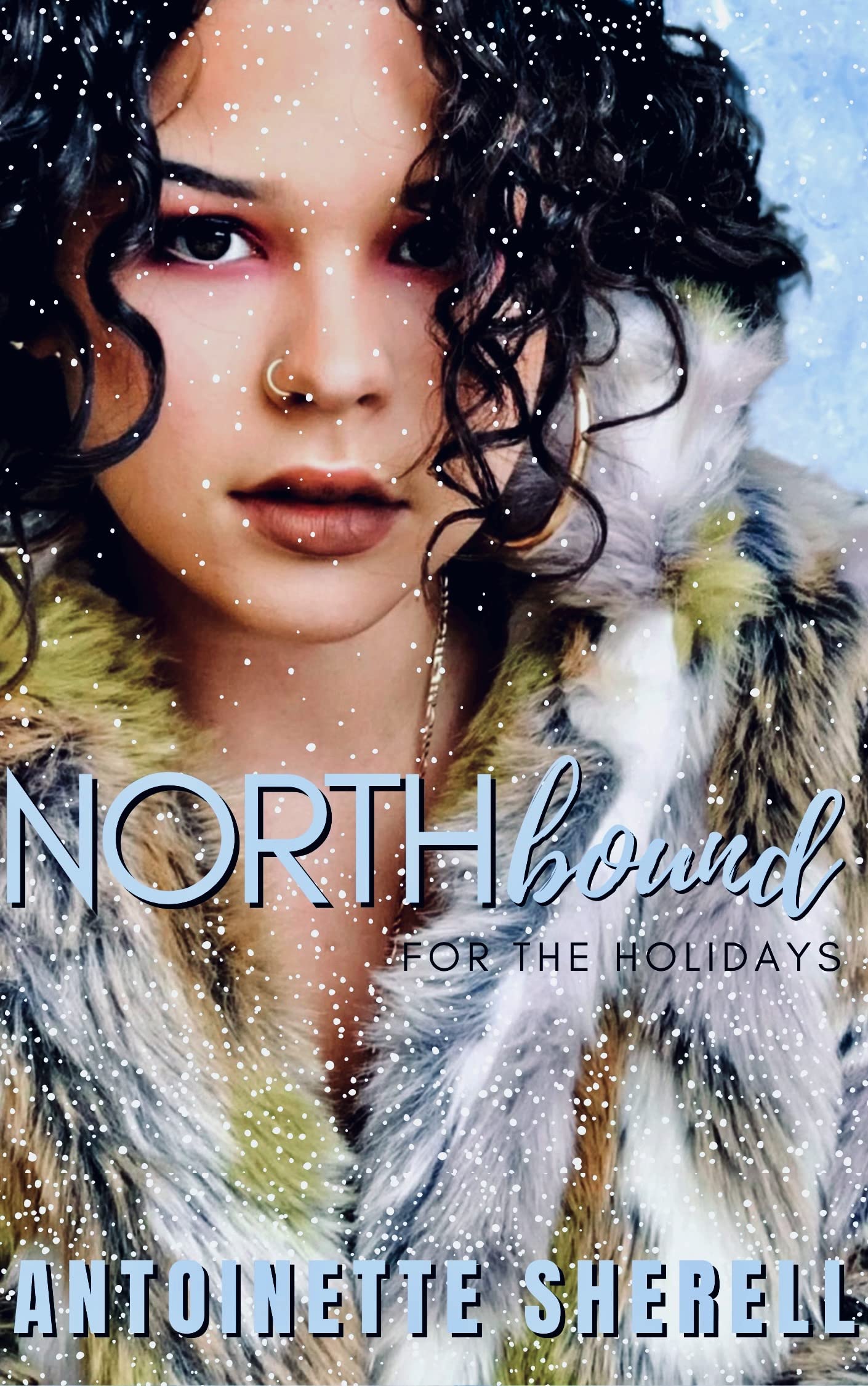 Northbound For The Holidays (Kindle Edition)