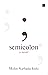 semicolon: a novel