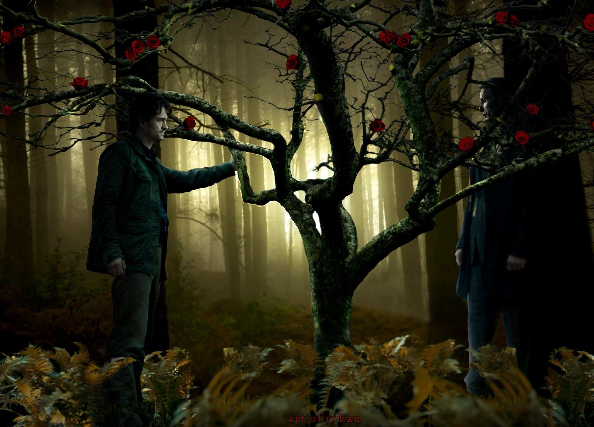 Tread Softly (Unknown Binding)