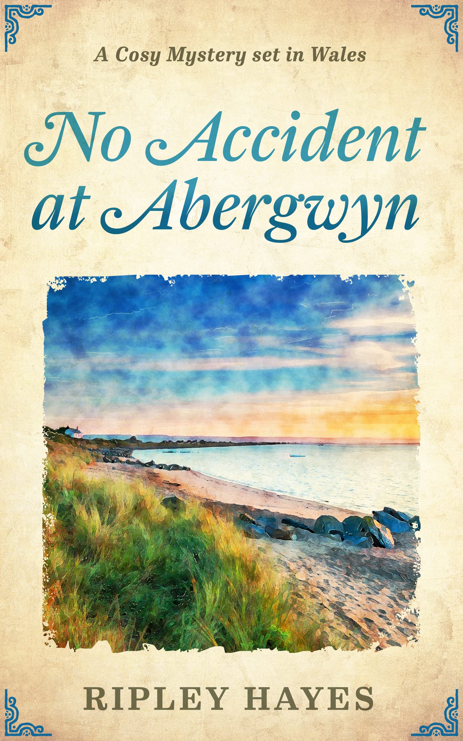 No Accident at Abergwyn  (Tudor and Stewart Abergwyn Mysteries, #1)