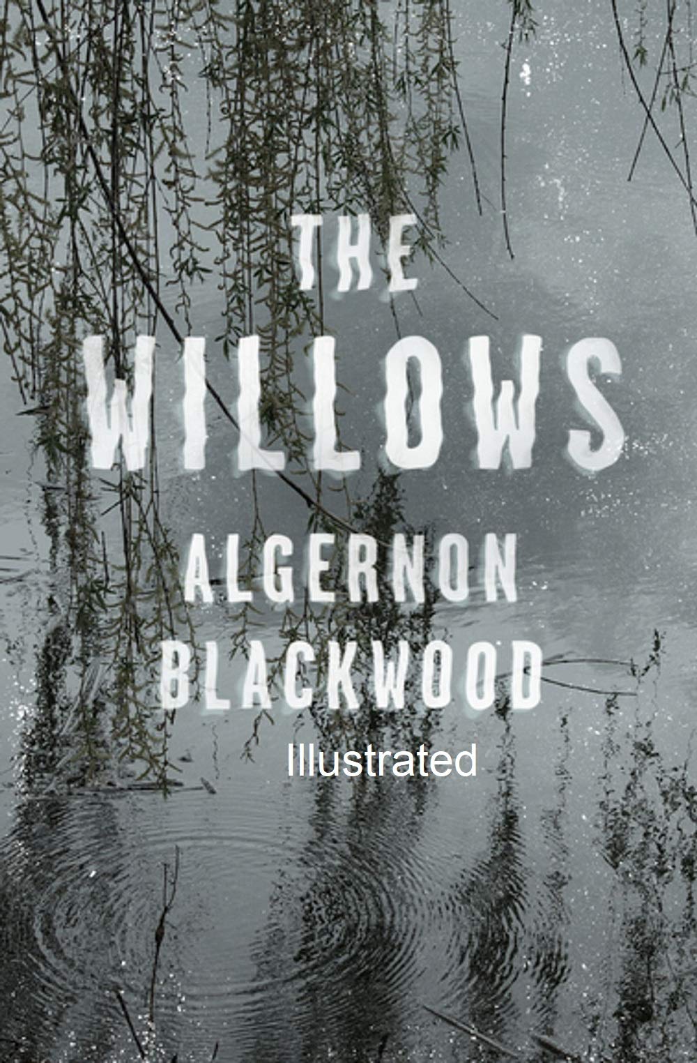 The Willows Illustrated