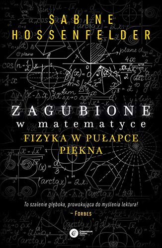 Zagubione w matematyce. Fizyka w pulapce piekna (Paperback)