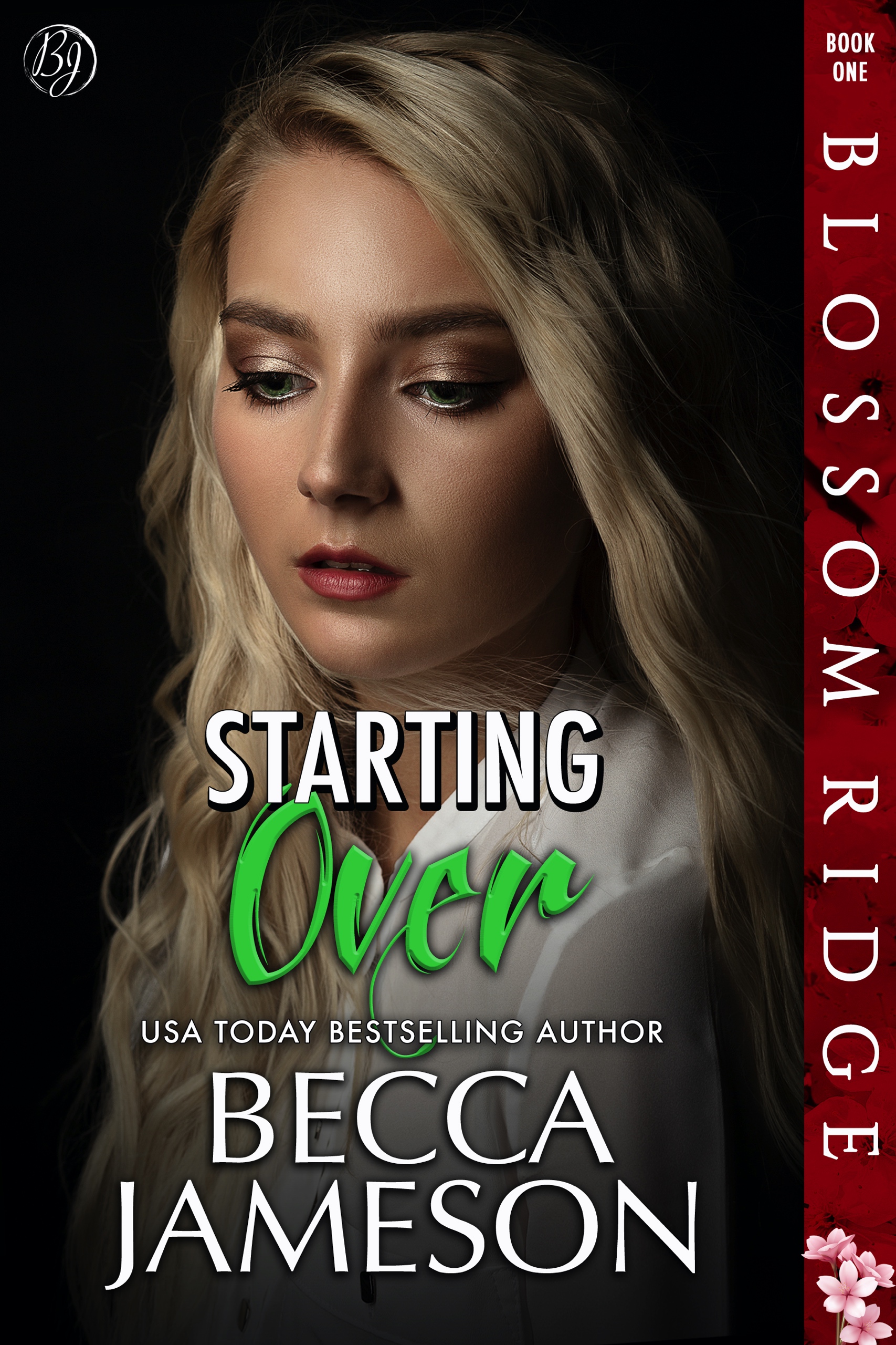 Starting Over (Blossom Ridge #1)