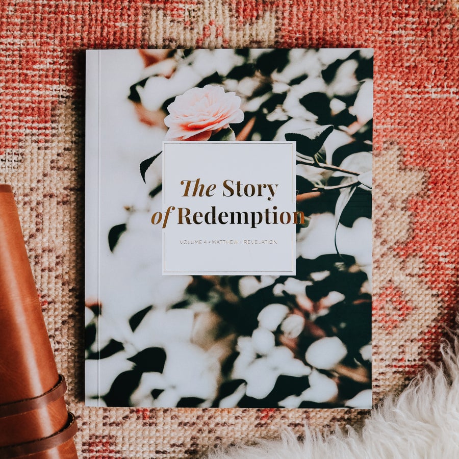 The Story of Redemption: Volume 4 (Paperback)