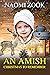 An Amish Christmas To Remember