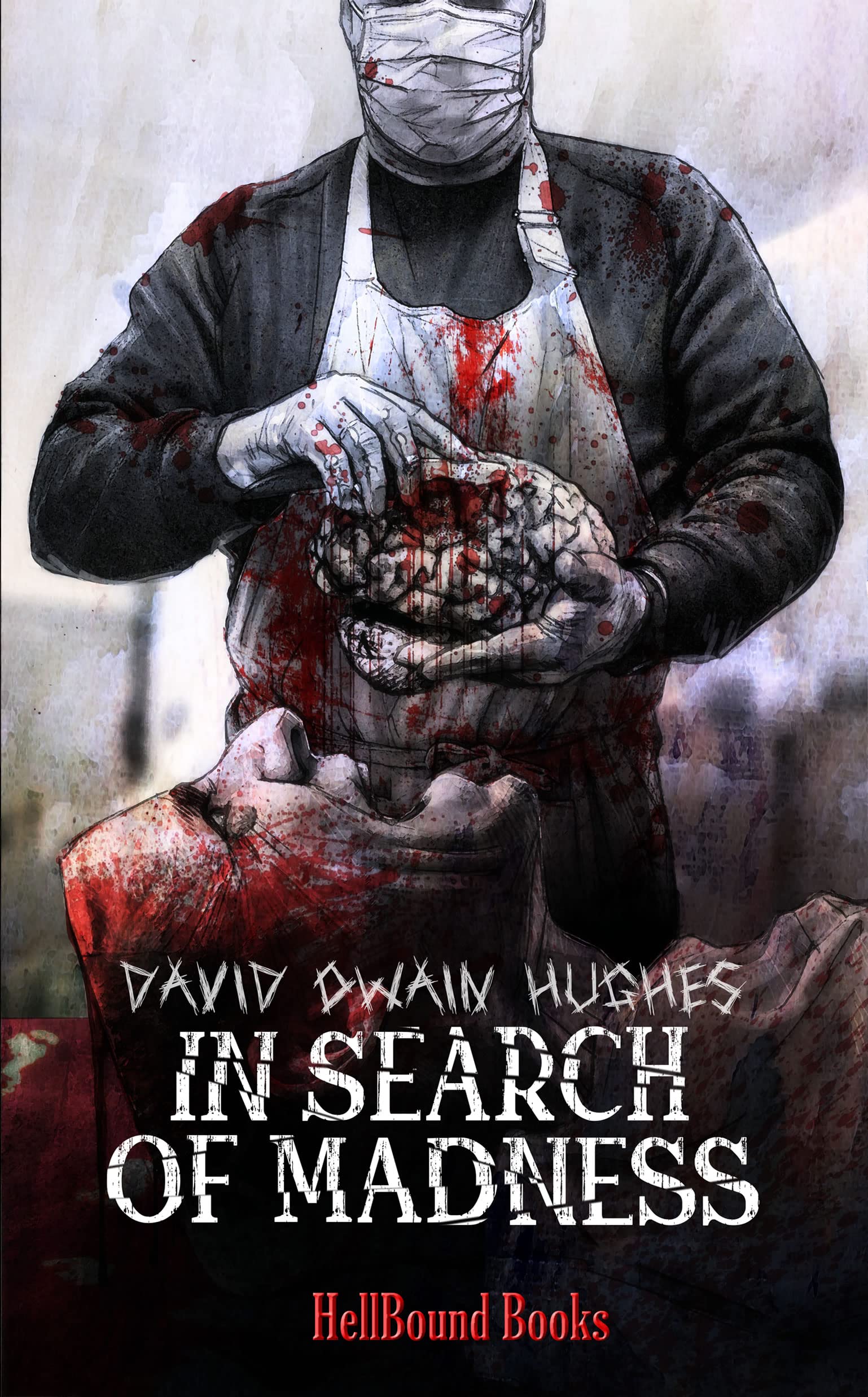 In Search of Madness (Kindle Edition)