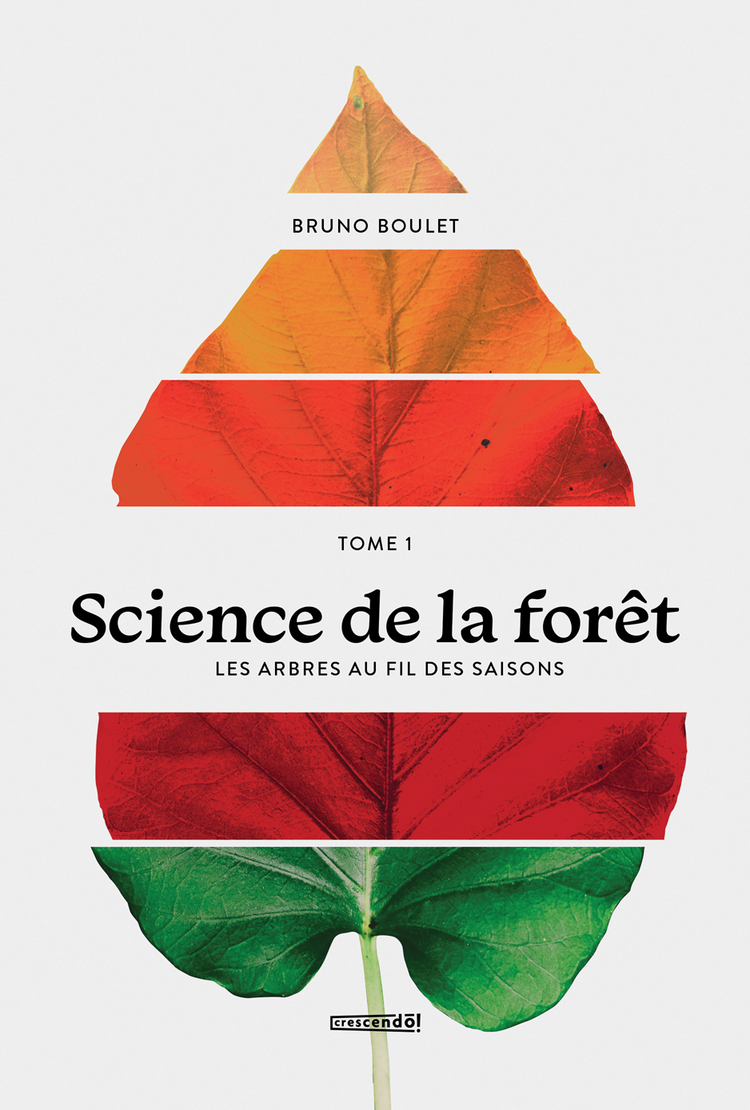 Les arbres au fil des saisons (Science de la forêt #1)