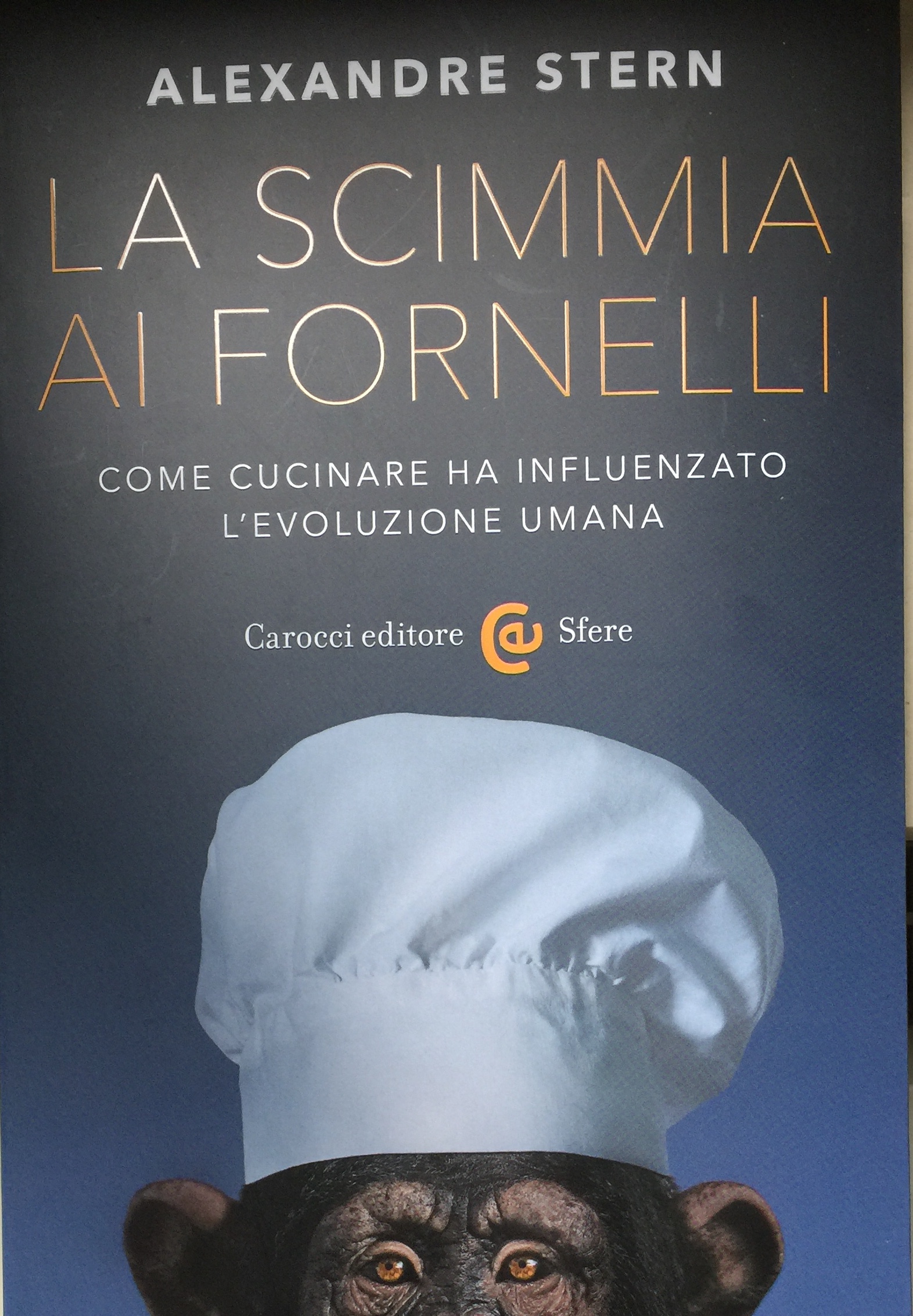La scimmia ai fornelli. Come cucinare ha influenzato l'evoluzione umana