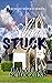 You Can’t Slay Stuck: Secon...