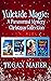 Yuletide Magic: A Paranormal Mystery Christmas Collection