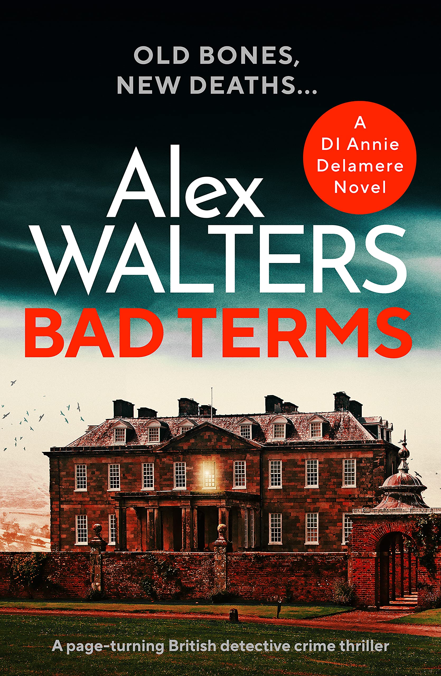 Bad Terms (Detective Annie Delamere #3)