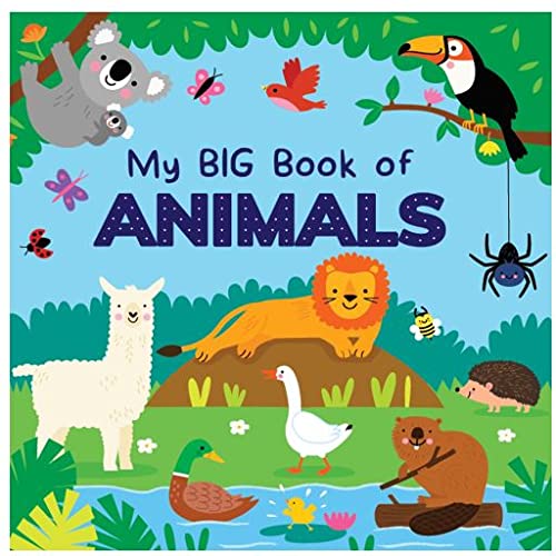 My Big Book of Animals (Board book)