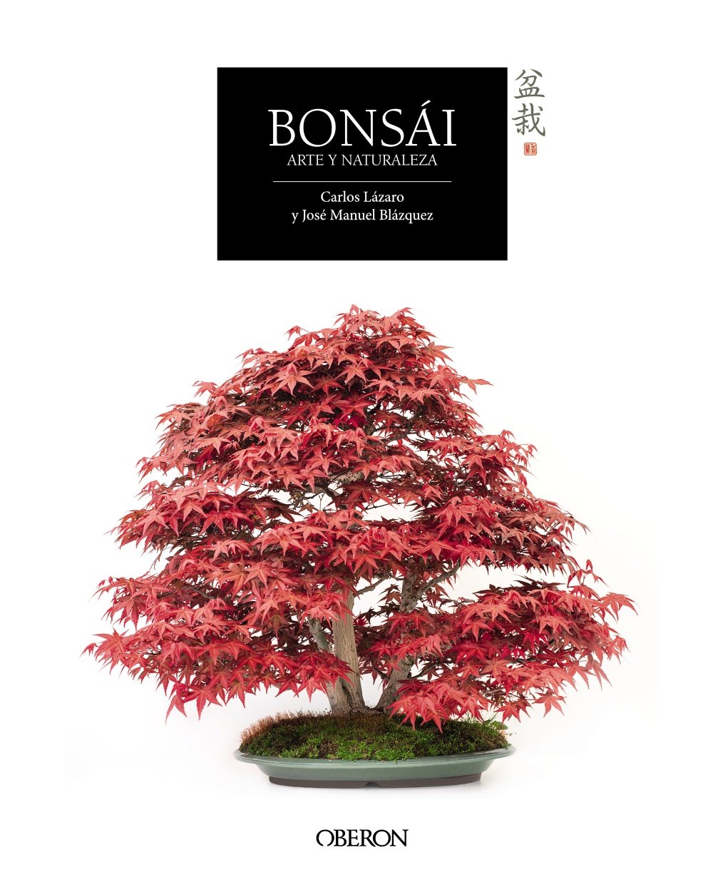 Bonsái: Arte y naturaleza (Hardcover)