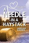 A Needle in a Hay...