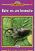 Este es un insecto