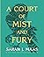 A Court of Mist and Fury by Sarah J. Maas