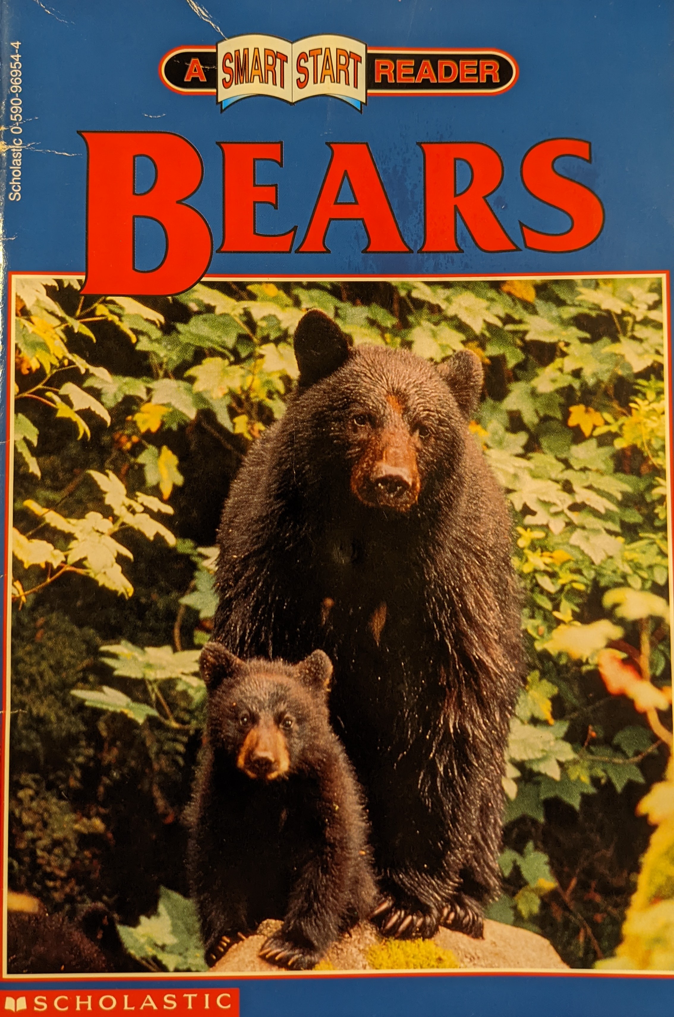 Bears (Smart start reader)
