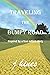 TRAVELING THE BUMPY ROAD by Jerry Hines