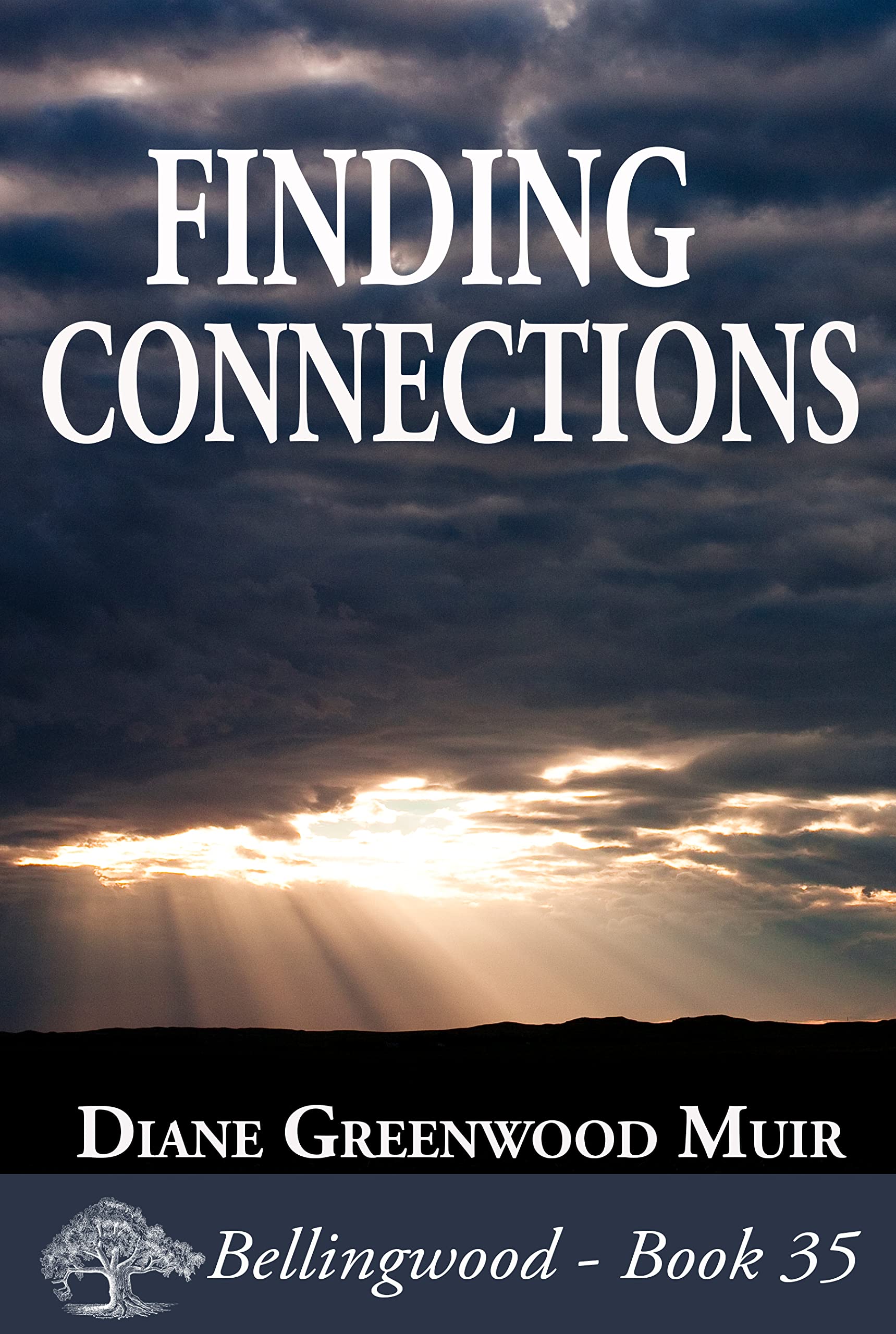 Finding Connections (Bellingwood, #35)
