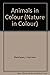 Animals in Colour