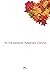 Yo me perdoné: El dolor es la letra pequeña en el contrato de la Vida. Aprende qué hacer con él, y vivirás en plenitud. (Spanish Edition)