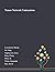 Tensor Network Contractions