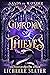 Guardian of Thieves (Sands ...