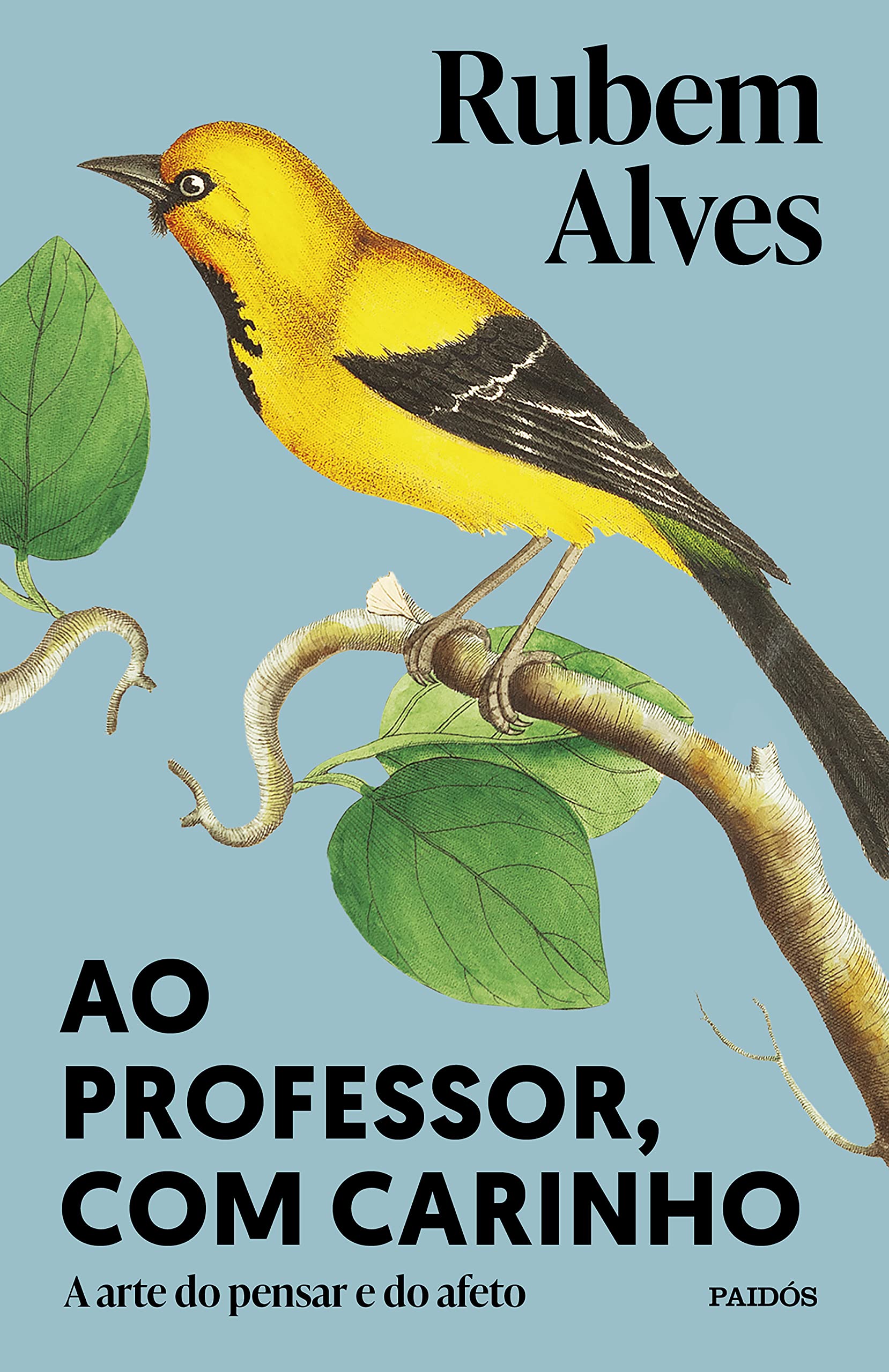 Ao professor, com carinho: a arte do pensar e do afeto