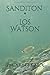 Sanditon * Los Watson (Spanish Edition)
