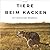 Tiere beim Kacken by Tim Koch