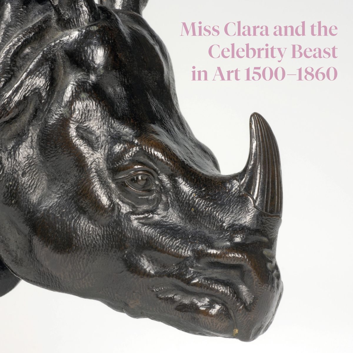 Miss Clara and the Celebrity Beast in Art 1500–1860 (Paperback)