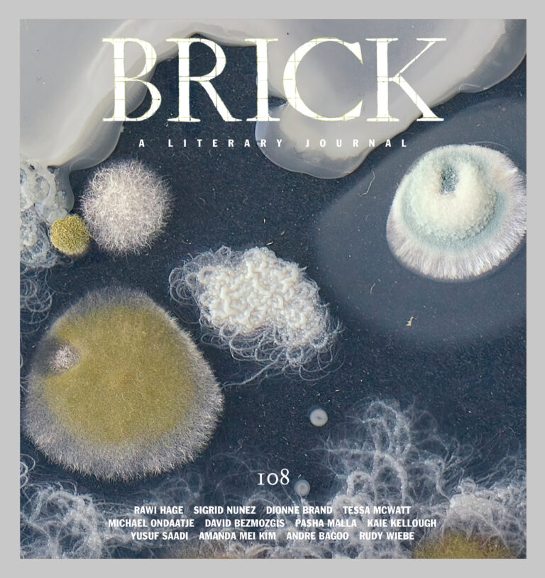 Brick: A Literary Journal, Winter 2021 (Brick #108)